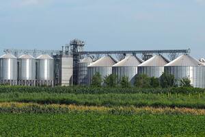 stoccaggio cereali silos acciaio